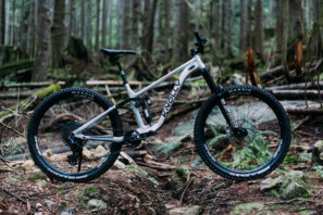 Knolly Chilcotin Gen 6, lateral, bosque