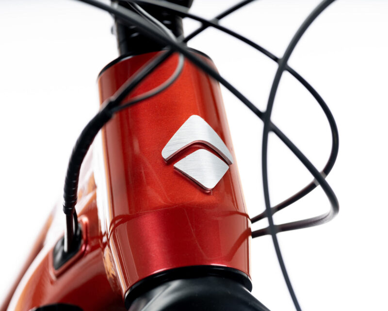 Detalles de primer plano de la e-MTB Ari Wire Peak 2024